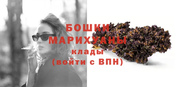 PSILOCYBIN Бородино