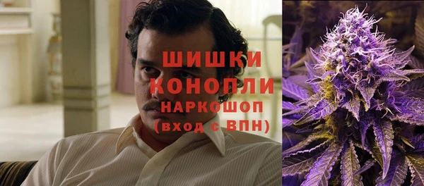 PSILOCYBIN Бородино