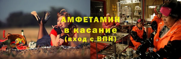 PSILOCYBIN Бородино