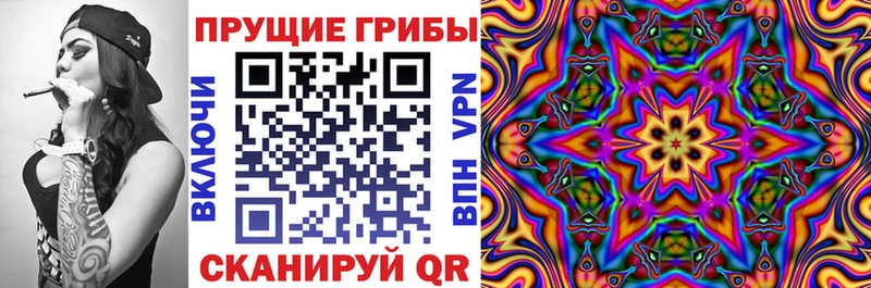 Псилоцибиновые грибы GOLDEN TEACHER Когалым